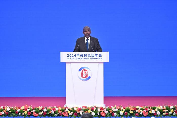 2024年4月25日，世界工程组织联合会主席穆斯塔法·申胡在2024中关村论坛年会上发言。新华社记者 李鑫 摄