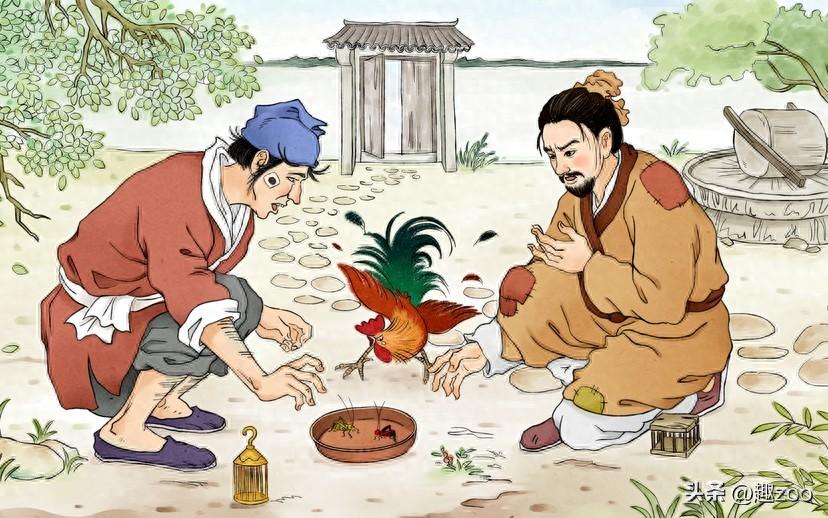 世界十大名贵蟋蟀排名，蟋蟀哪个品种最值钱