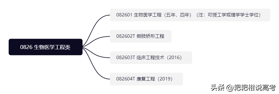 生物技术生物工程生物医学工程有什么差别_生物工程生物医学工程的区别_生物医学工程相似专业有哪些