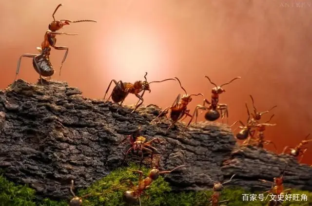 很多奇闻_有什么奇闻_各种奇闻怪事