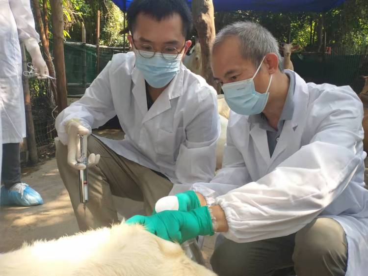 【原创】深圳市动物疫病预防控制中心：关口前移、系统防控 构筑动物防疫安全屏障