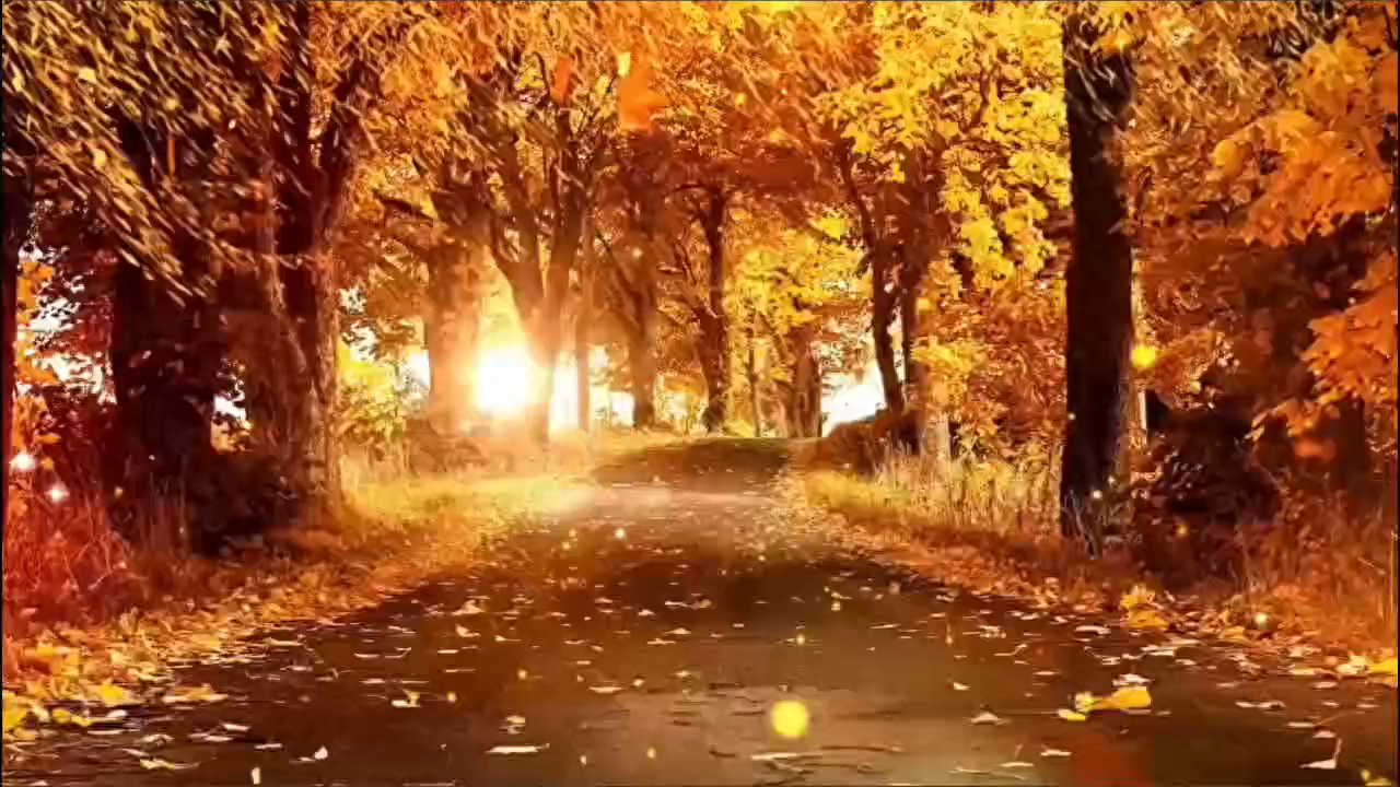 转发到头条