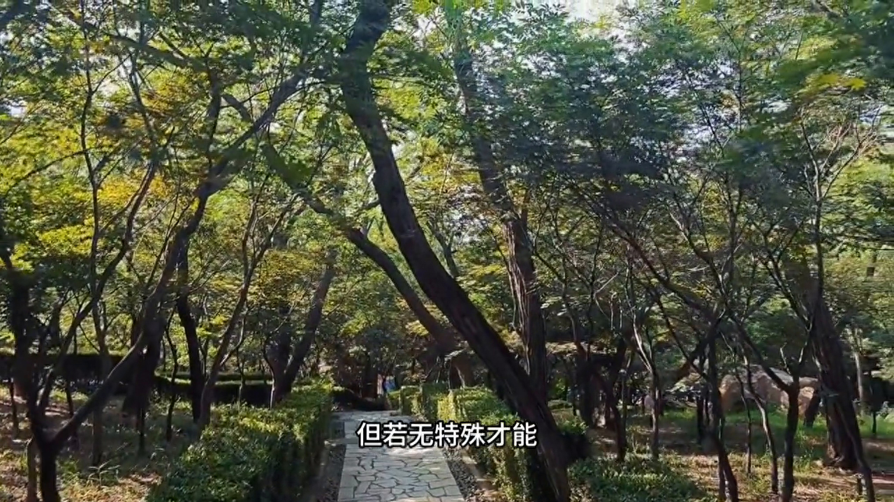 #治愈系风景