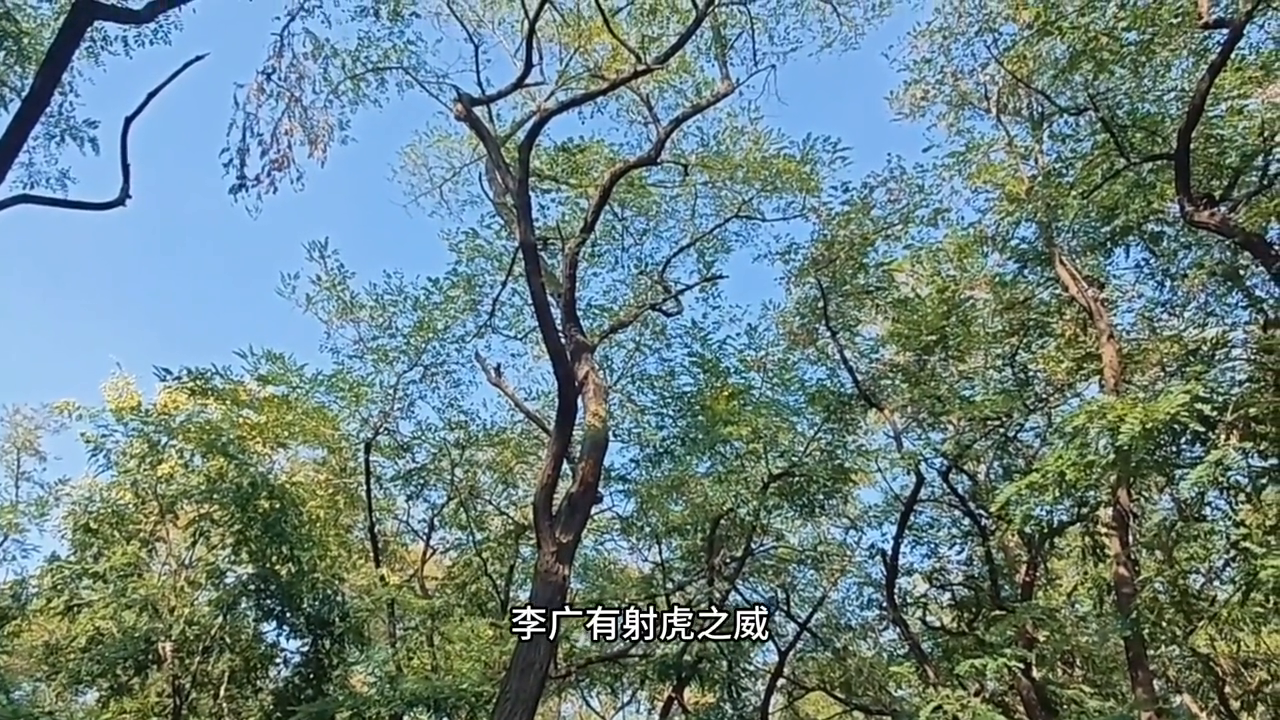 千古奇文寒窑赋全诗内容是什么_千古奇文寒窖赋_千古奇闻寒窑赋