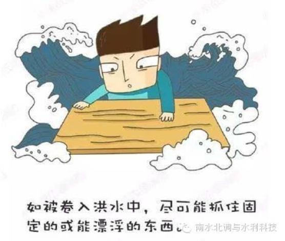 台风相关知识结构图_有关台风的知识_关于台风知识