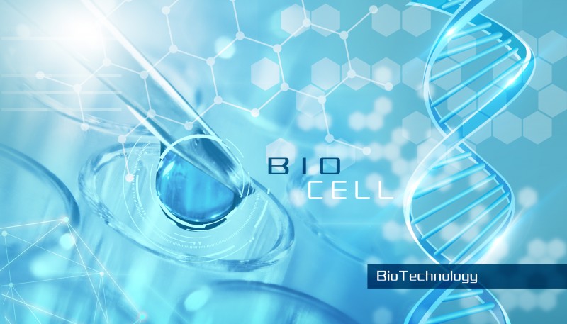 生物免疫治疗技术,生物免疫治疗是什么,生物免疫治疗效果