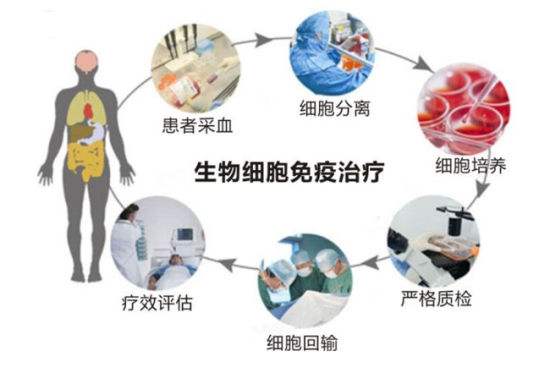 生物细胞治疗是什么意思_生物细胞生物治疗_生物细胞治疗中心