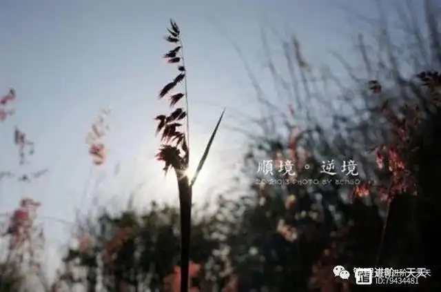 人生如何正确面对顺境和逆境