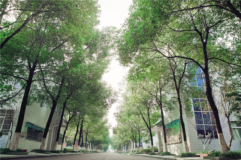 课余生活能培养我们什么什么的意识和能力_丰富课余生活重要性_课余生活能够激发