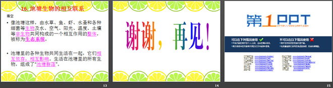 《池塘生物的相互联系》池塘群落PPT课件2