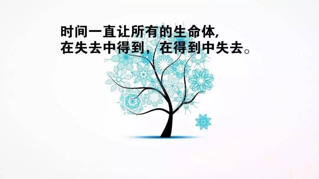 人生看开、看淡，生活就很轻松！
