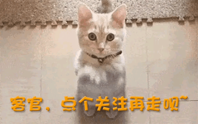 科技全球中国排名第几_全球中国科技_中国科技全球化