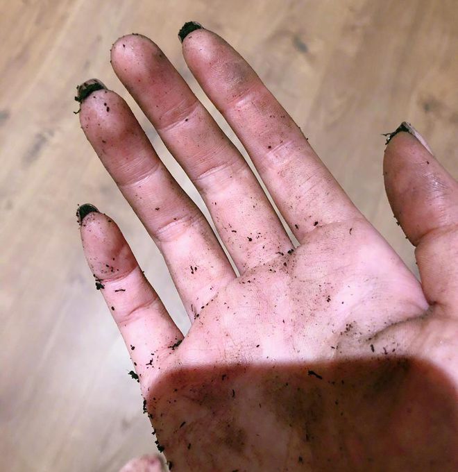 张馨予干农活太接地气！把生活过成“诗”的女人，简单又不简单