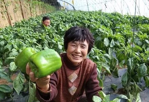 我爱你中国！2020，这十件大事值得你我关注！