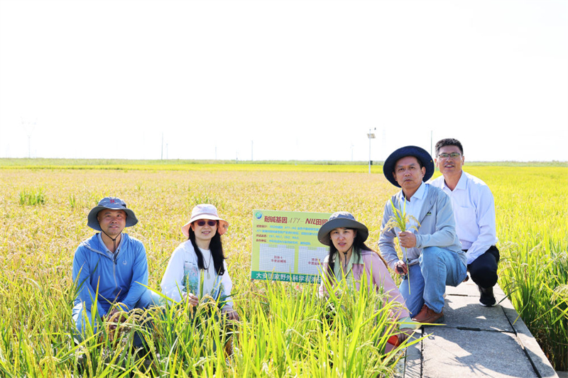 生物改良盐碱地_改良盐碱地的方法和措施_改良盐碱地的作物