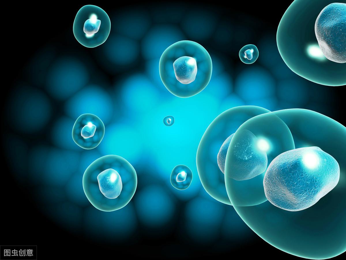 高中生物：生物体的基本特征，记住这些有效提高成绩
