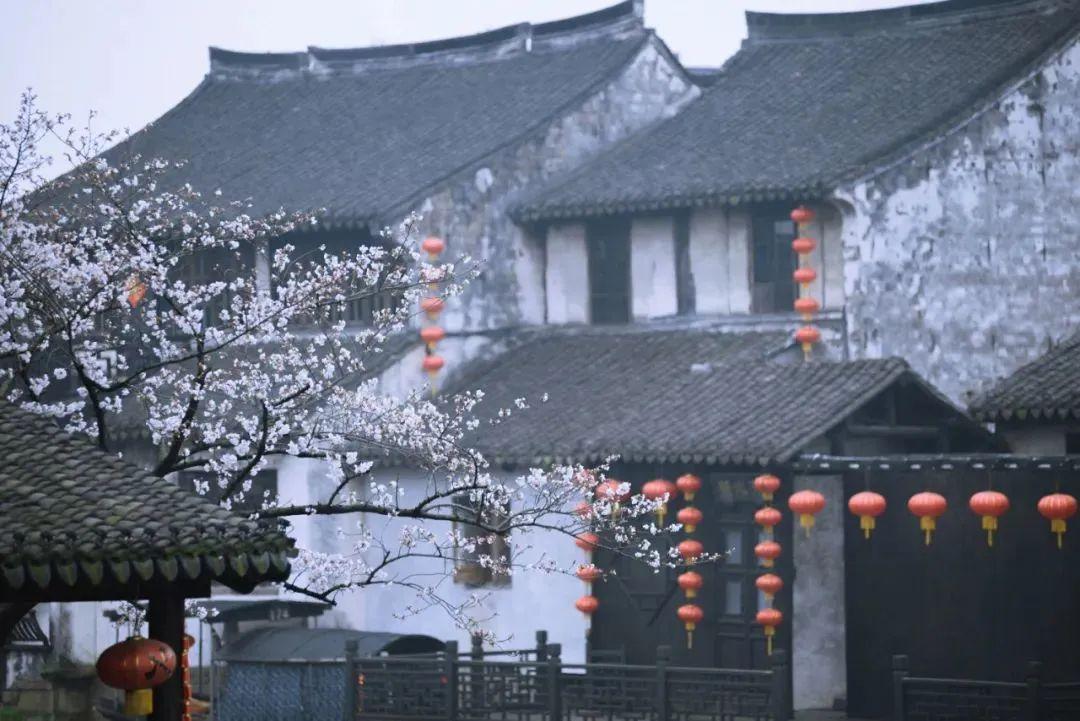奇天下文化传媒_奇天下文化熊猫人_天下第一奇文