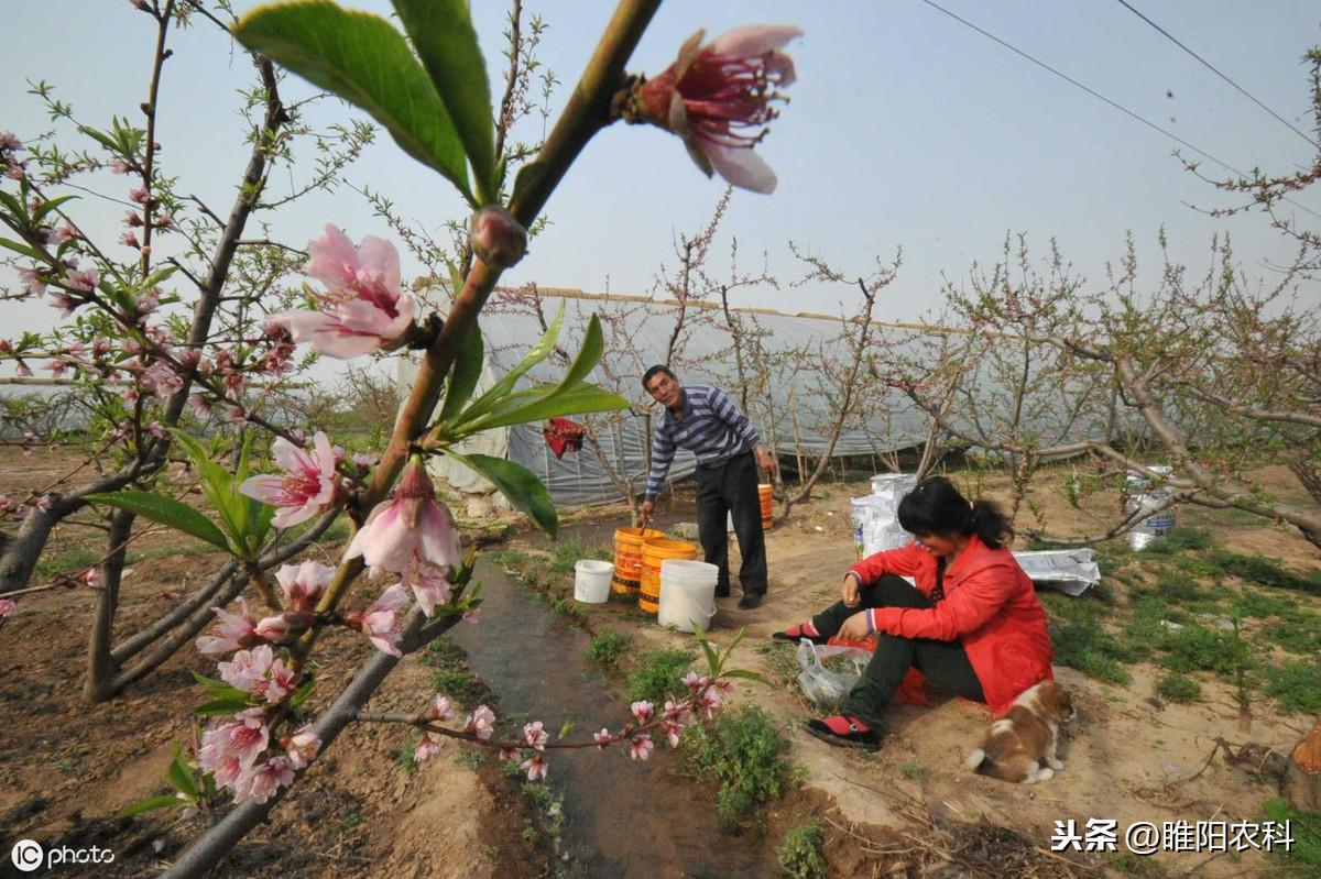 冲施肥根本就没有这种肥料，为什么农民还在大量购买
