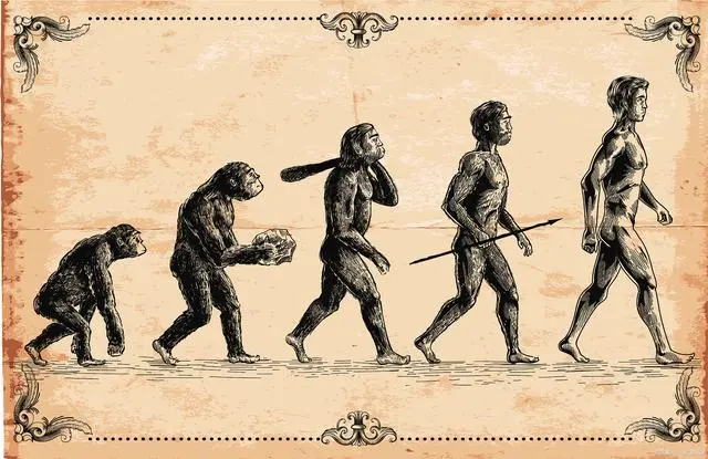 书籍的力量：人类进步的阶梯与智慧的钥匙