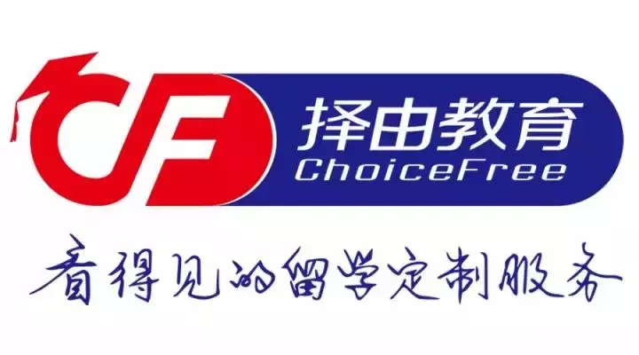 普通“小青蛙”，如何做好活动策划？丨择由问答