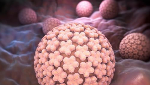 4年没性生hpv是怎么感染的_没同房感染hpv_没有性感染hpv