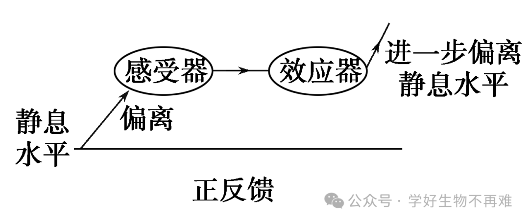 生物负反馈调节_生物的反馈调节和负反馈调节_负反馈调节高中生物定义
