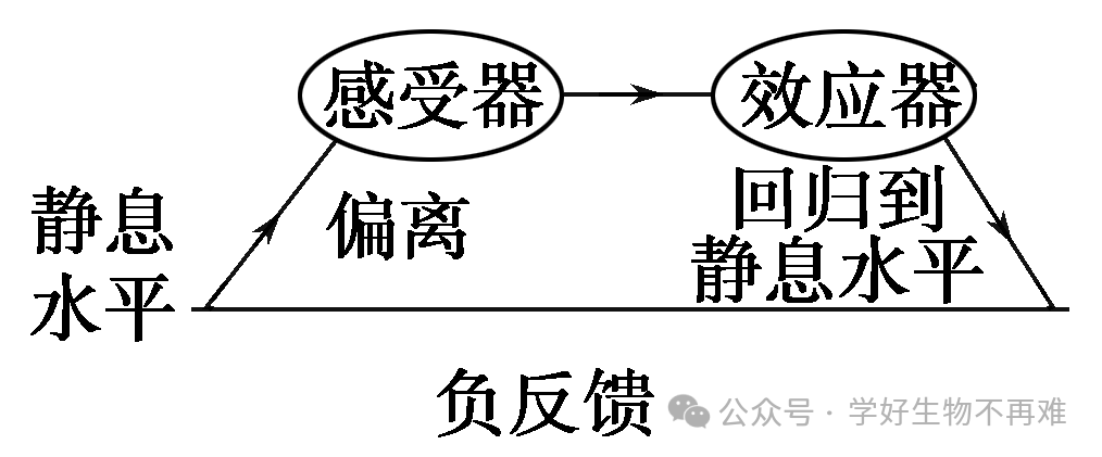 生物负反馈调节_负反馈调节高中生物定义_生物的反馈调节和负反馈调节