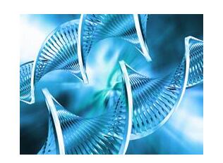 初中生生物课题研究制定方案