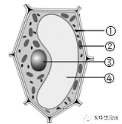 朵朵葵花向太阳所体现的生物特征是_朵朵葵花向太阳所体现的生物特征是_葵花朵朵向太阳体现了植物的