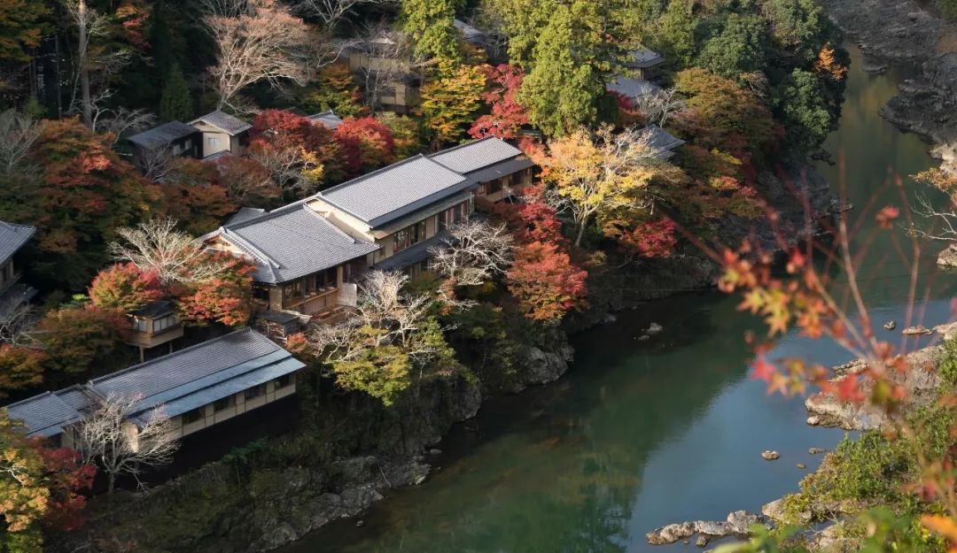 一个村支书考察日本乡村后的感慨