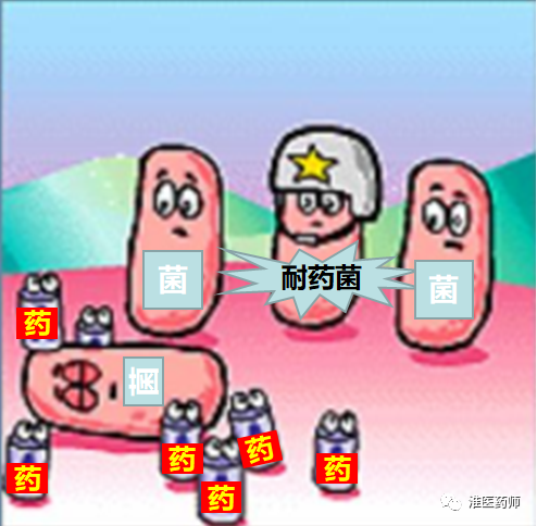 人是生物还是物种_人类是不是生物_人类也是生物