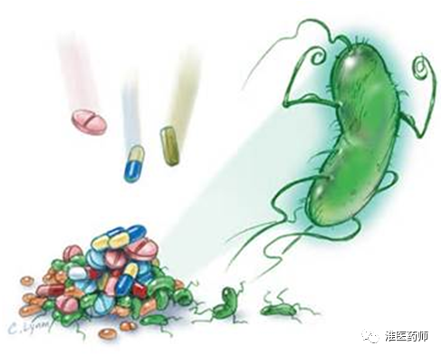 人类也是生物_人类是不是生物_人是生物还是物种