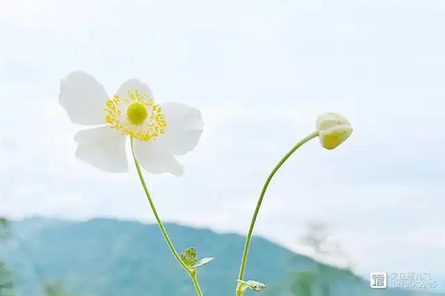 传统文化与生活的结合_传统文化与什么结合_传统文化与现代生活结合的例子