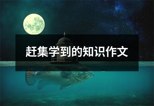赶集学到的知识作文