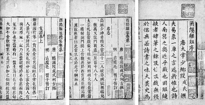 《酉阳杂俎》奇在哪？“可能是整个中国古代载录内容最奇妙、有趣的杂记”