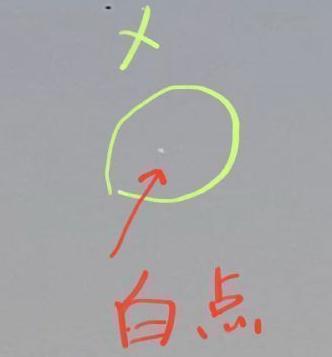 巨大神秘生物_神秘巨大生物有哪些_神秘巨大生物图片
