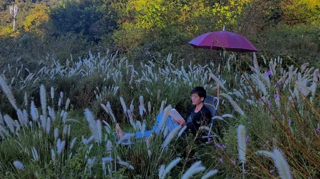 当代隐居生活指南：那些隐居的年轻人，后来怎么样了？