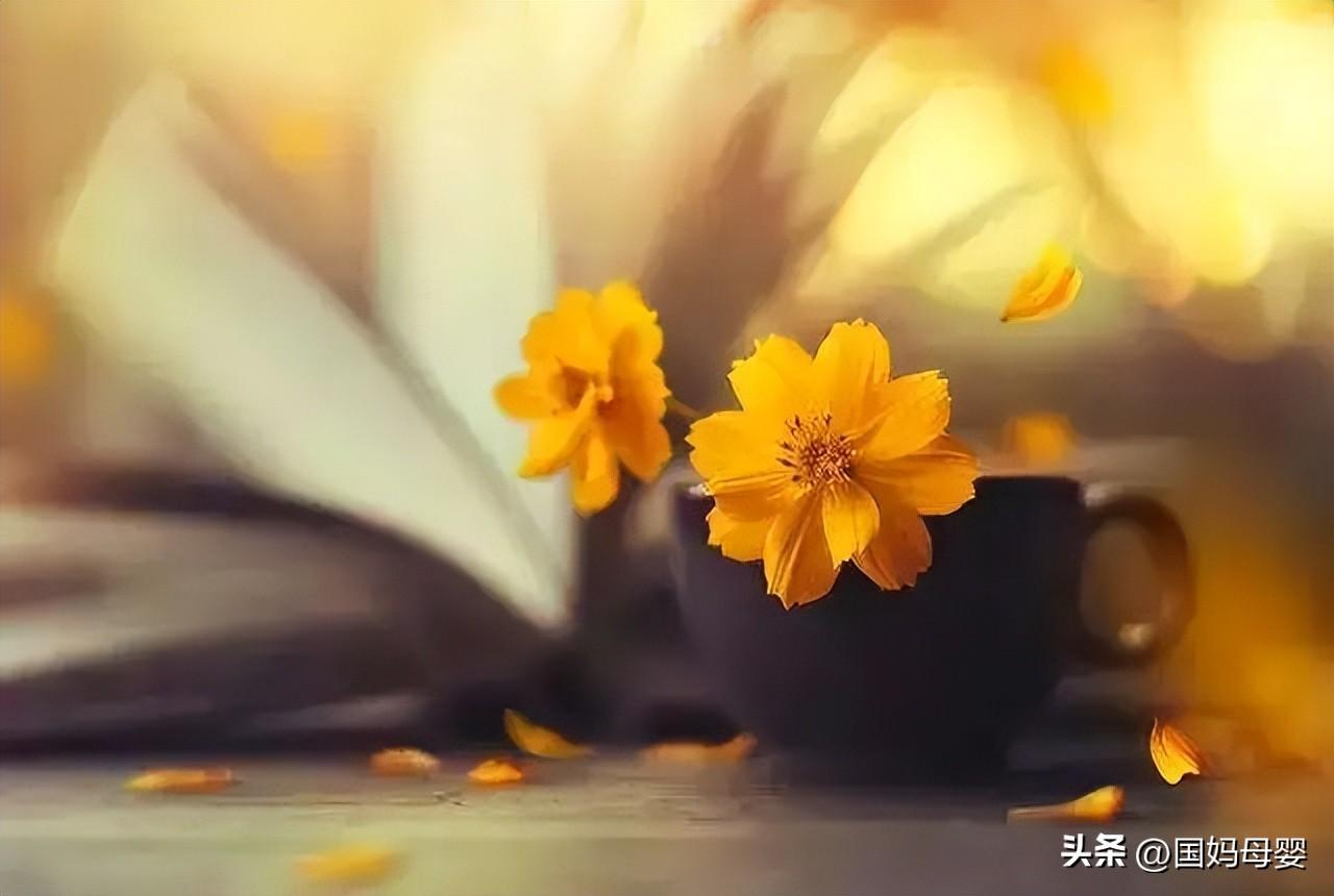 凡事看淡一些，生活也就顺了！