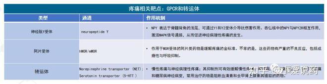爱思益普生物有限公司_爱恩思益生菌_爱思益普生物