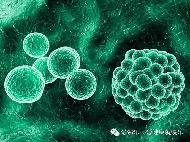 所有的病都是细胞病