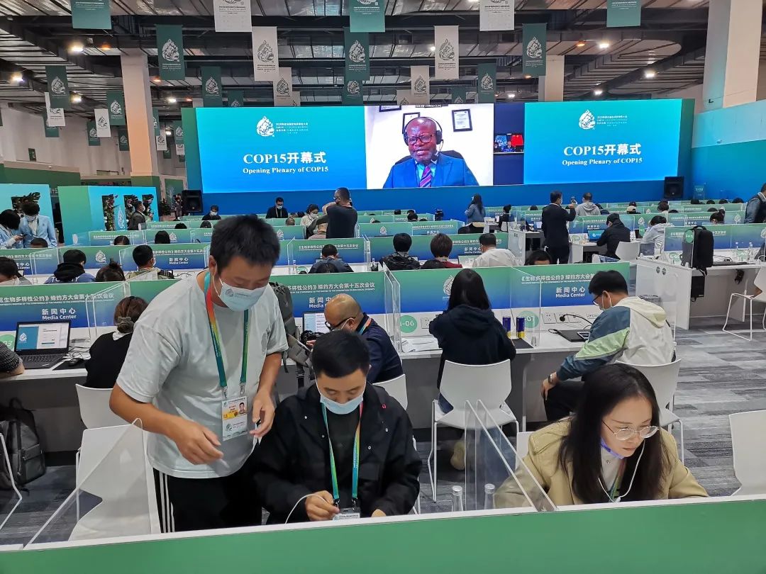 生物多样性会议的意义_生物多样性会议会标_生物多样性会议