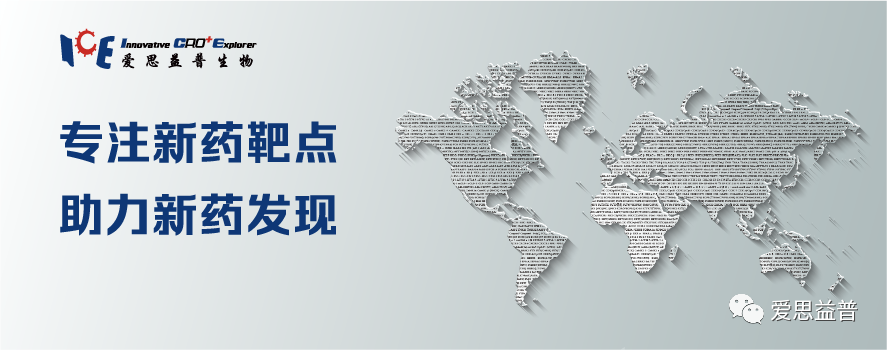 会议预告|爱思益普邀请您参加IDC2024第六届化学新药与改良型新药研发论坛