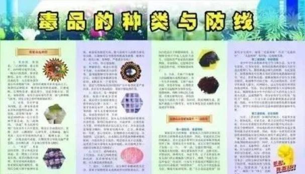 安全小知识有哪些_知识安全小报_知识安全小有趣手抄报