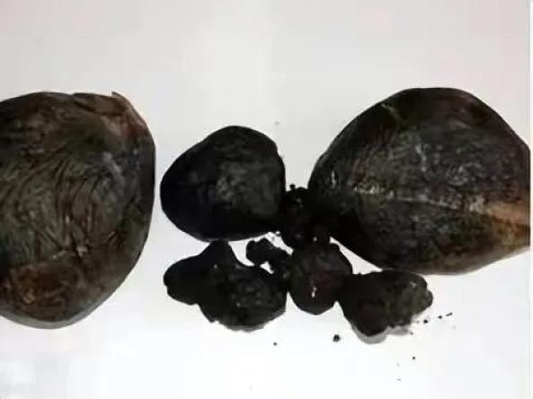 知识安全小报_知识安全小有趣手抄报_安全小知识有哪些