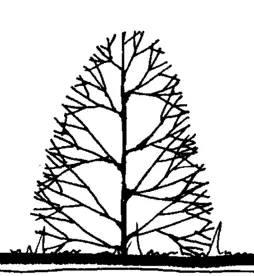 生物类分为哪些_生物分为几类_生物类分类