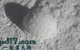 体型巨大的单细胞生物Top7：Gromia Sphaerica