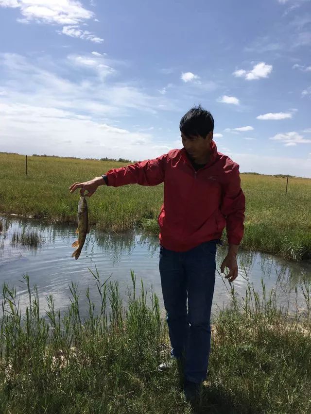 牧民游牧生活_游牧民族生活_牧民游牧生活视频