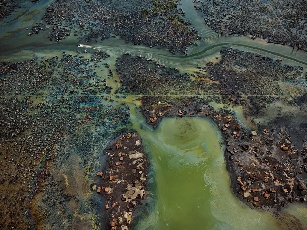 蓝藻灭绝厌氧生物_消灭蓝藻的办法_蓝藻生物大灭绝