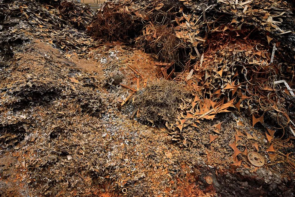 蓝藻生物大灭绝_蓝藻灭绝厌氧生物_消灭蓝藻的办法