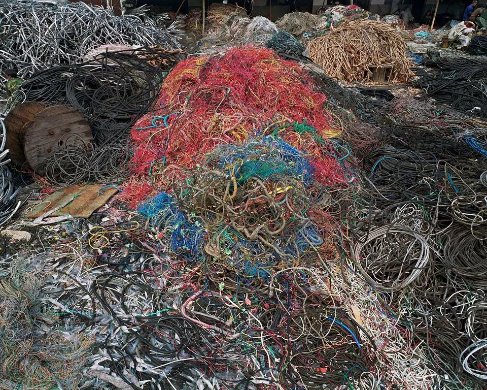 蓝藻灭绝厌氧生物_消灭蓝藻的办法_蓝藻生物大灭绝